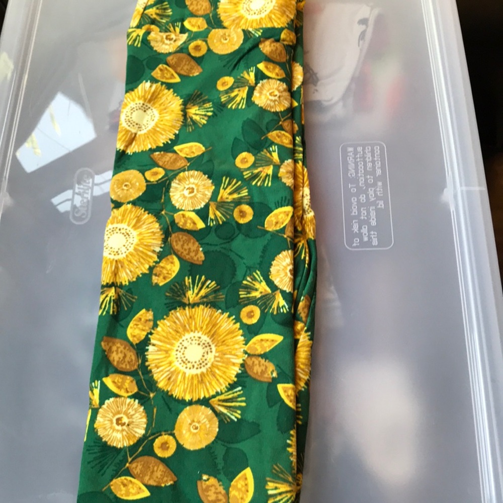NWOT LuLaRoe TC Leggings Floral Green Background